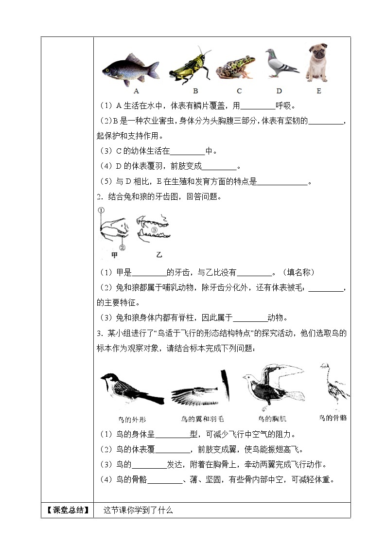 苏教版生物八上 5.14.2《千姿百态的动物世界(二)》课件+学案+练习(原卷版+解析卷)02