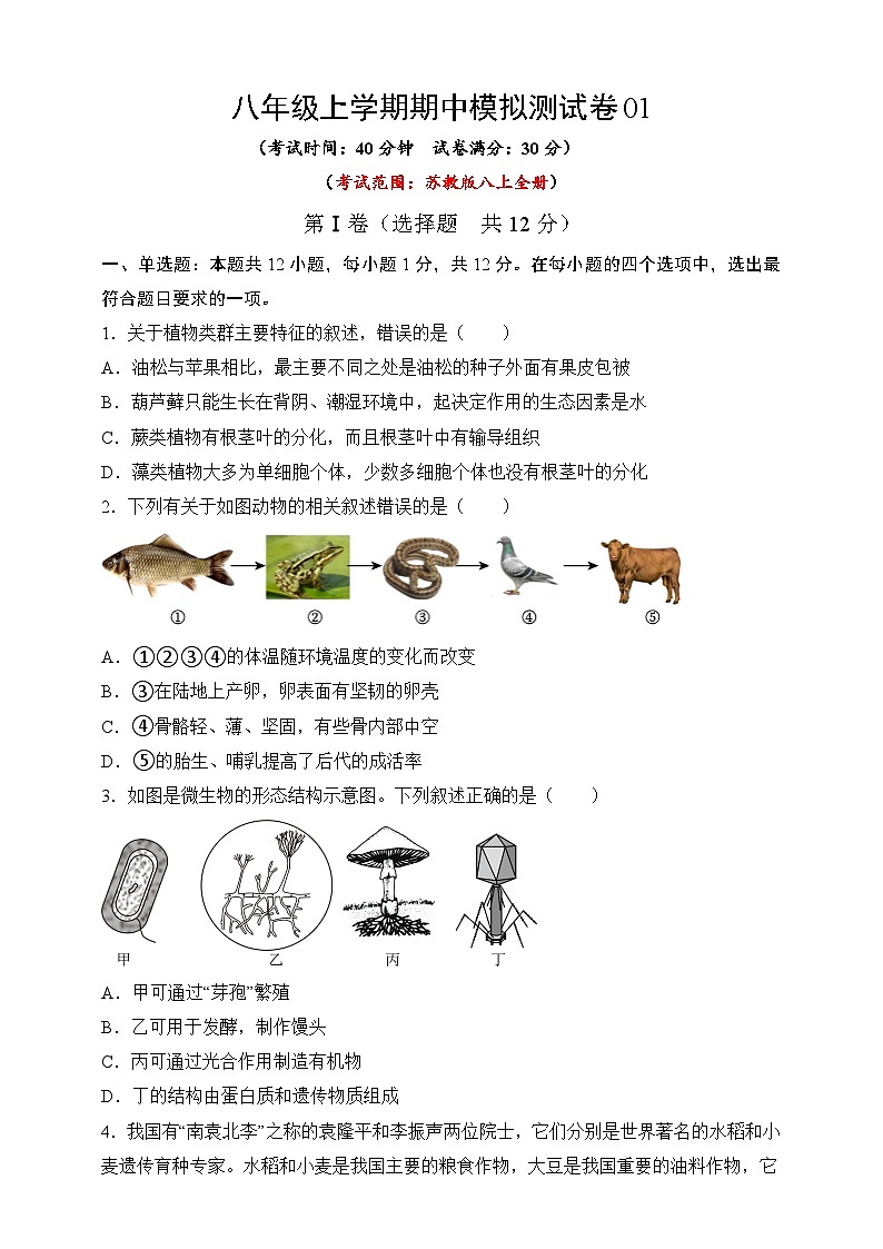 苏教版生物八上 期中测试卷(范围:八上全册)01(原卷版+解析卷)01