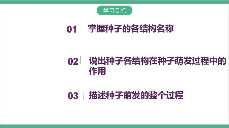 冀少版生物八上 3.1.1《種子萌發(fā)的過程》課件第4頁