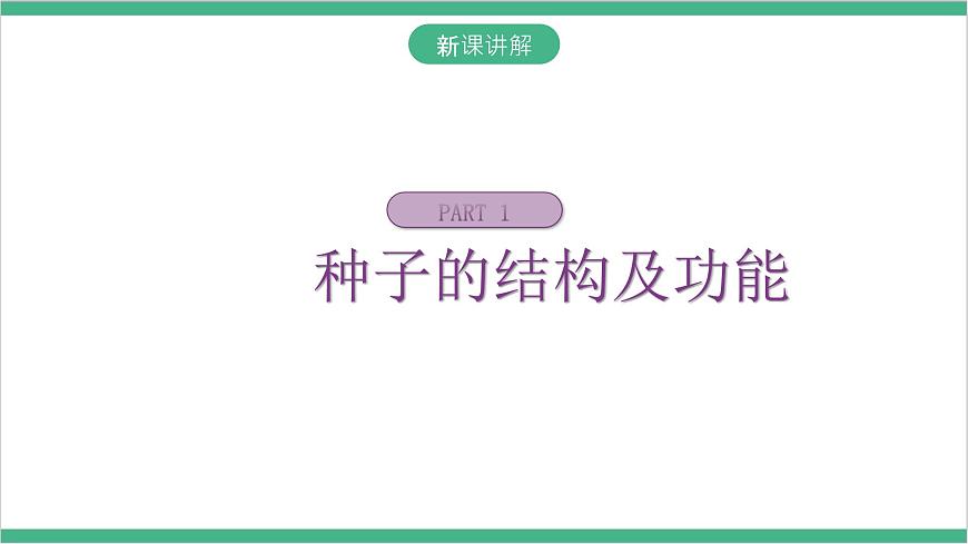 冀少版生物八上 3.1.1《種子萌發(fā)的過程》課件第5頁