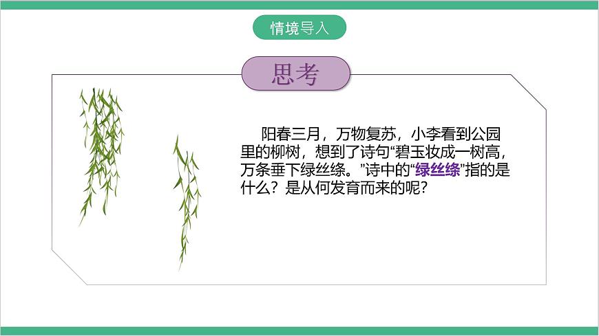 冀少版生物八上 3.1.3《芽的發(fā)育》課件第2頁
