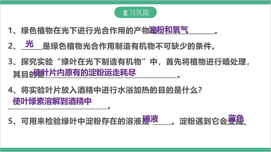 冀少版生物八上 3.3.2《光合作用的原料》課件第2頁
