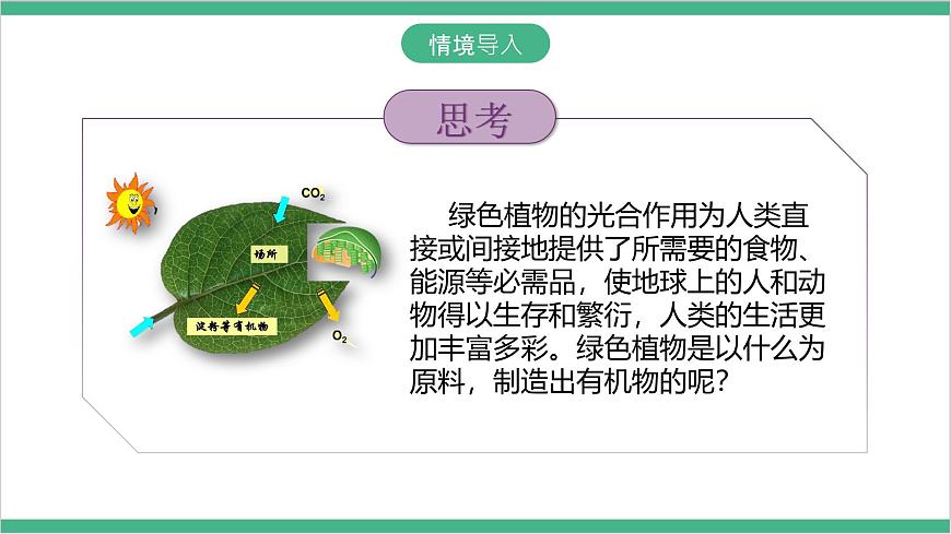 冀少版生物八上 3.3.2《光合作用的原料》課件第3頁