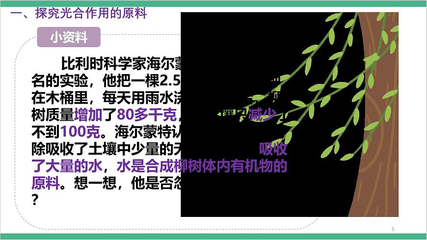 冀少版生物八上 3.3.2《光合作用的原料》課件第6頁