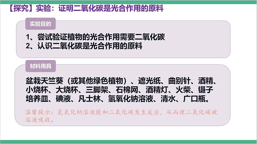 冀少版生物八上 3.3.2《光合作用的原料》課件第7頁