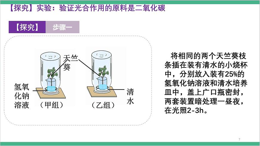 冀少版生物八上 3.3.2《光合作用的原料》課件第8頁