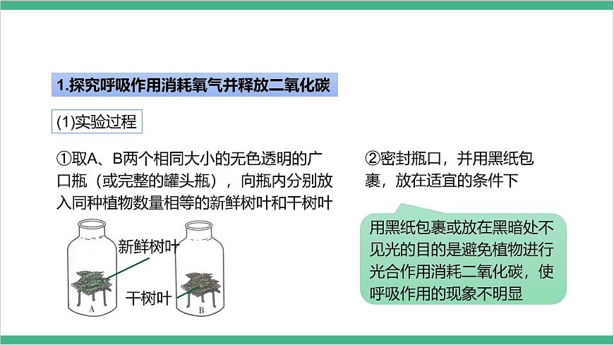 冀少版生物八上3.4.1《呼吸作用 》課件第6頁