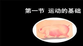 初中生物冀少版（2024）八年级上册第一节 运动的基础优秀ppt课件