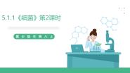 生物八年级上册第五单元  微生物的生活第一章 细菌和病毒第一节 细菌获奖ppt课件