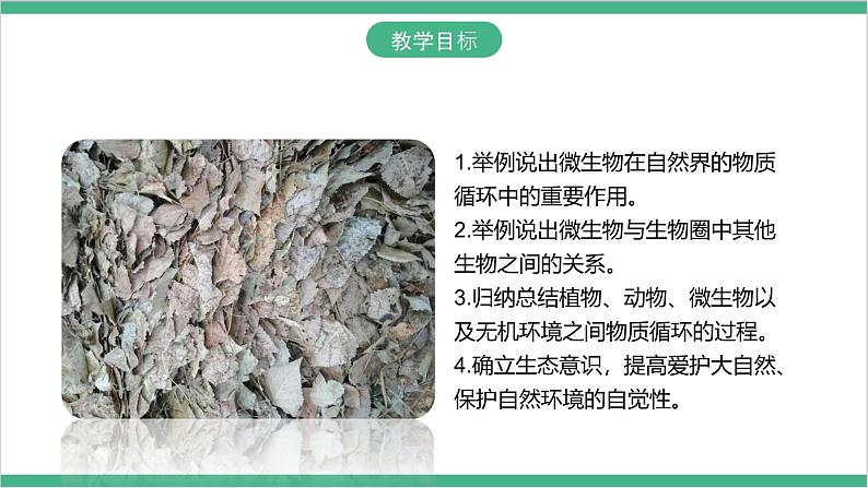 冀少版生物八上 5.4《微生物在生物圈中的作用》课件02