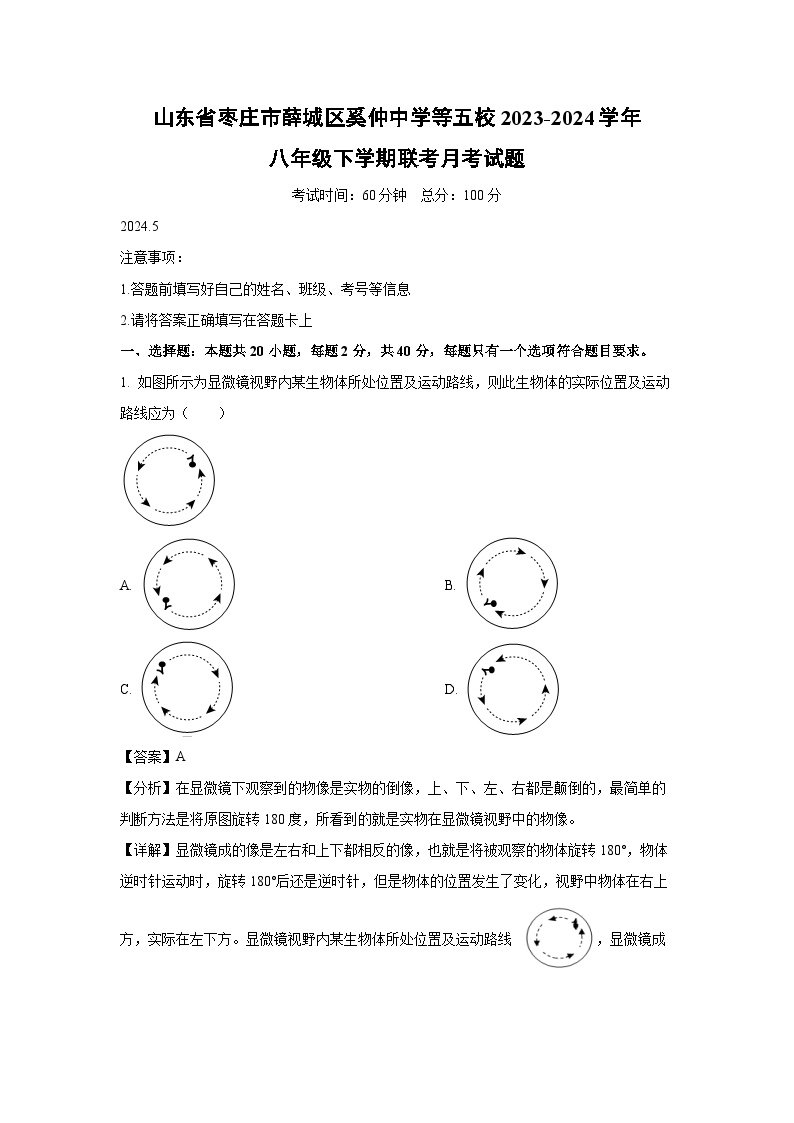 [生物]山东省枣庄市薛城区奚仲中学等五校2023-2024学年八年级下学期联考月考试题(解析版)