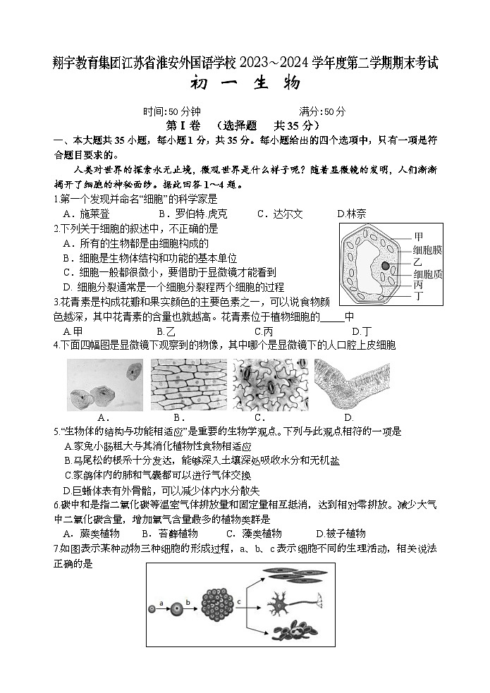 江苏省淮安外国语学校2023-2024学年七年级下学期期末考试生物试题01