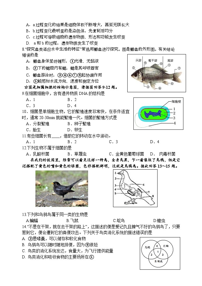 江苏省淮安外国语学校2023-2024学年七年级下学期期末考试生物试题02