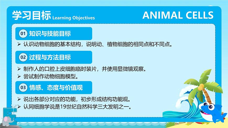 動(dòng)物細(xì)胞第2頁(yè)