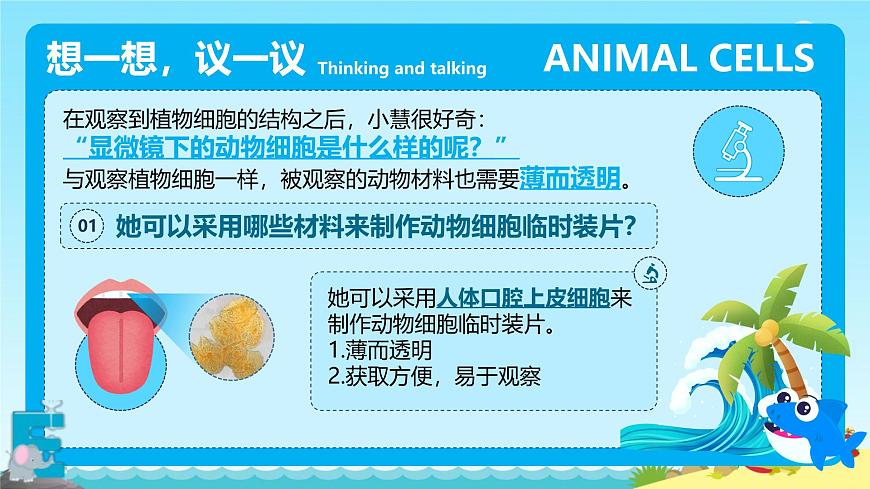 動(dòng)物細(xì)胞第3頁(yè)