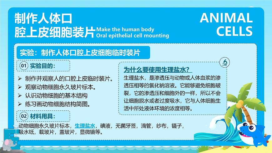 動(dòng)物細(xì)胞第5頁(yè)