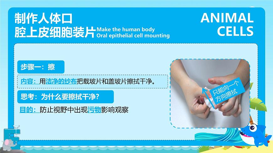動(dòng)物細(xì)胞第6頁(yè)