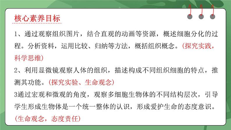 人教版(2024)生物七上:1.3.2 动物体的结构层次(课件+教案)02