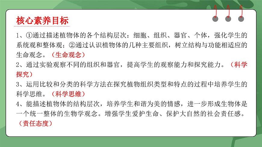 1.3.3 植物體的結(jié)構(gòu)層次-課件第2頁