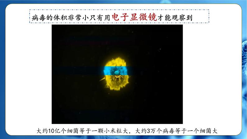 人教版(2024)生物七上:2.3.4 病毒(课件)08