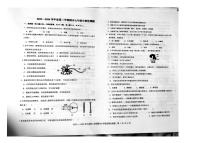 山东省烟台市开发区2023-2024学年七年级下学期期末生物试题