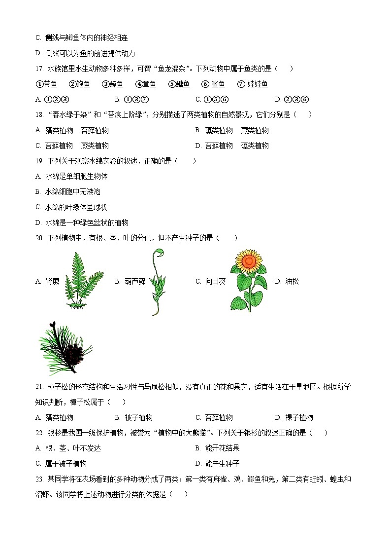 江苏省句容市2023-2024学年七年级下学期期末生物试题(原卷版)第3页