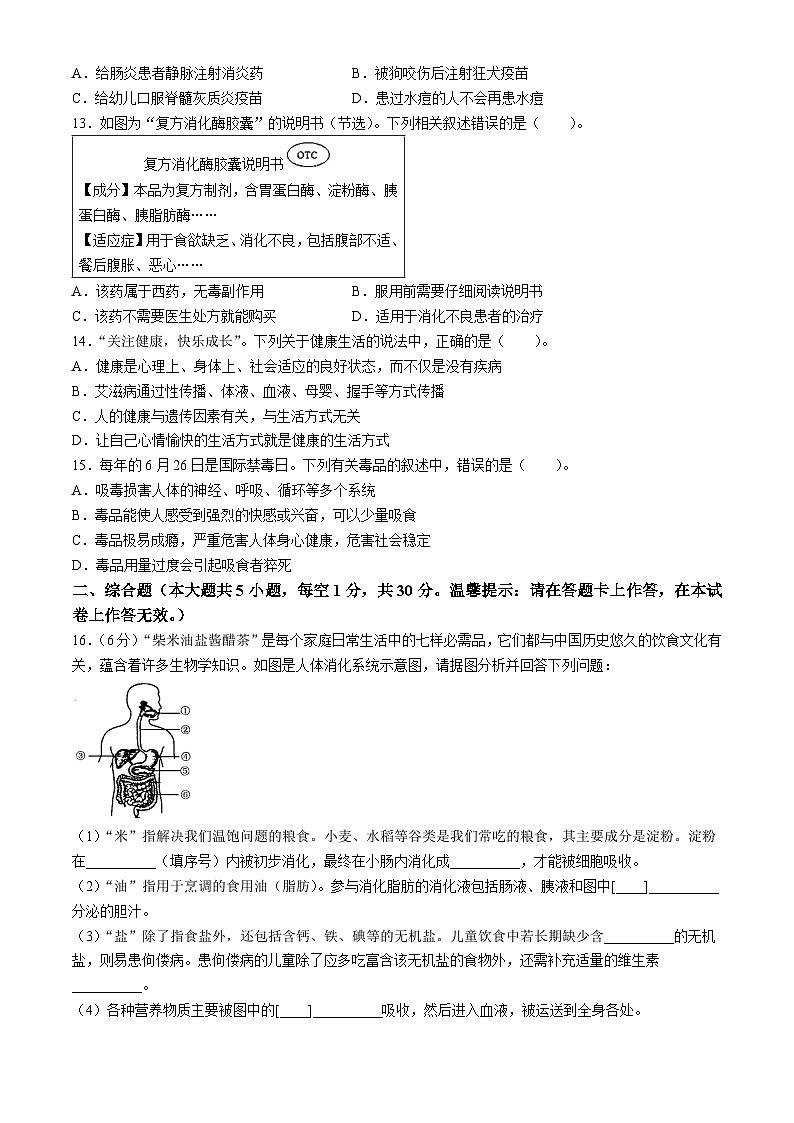 广西壮族自治区百色市乐业县同乐镇初级中学2023-2024学年七年级下学期期末考试生物试题(无答案)第3页