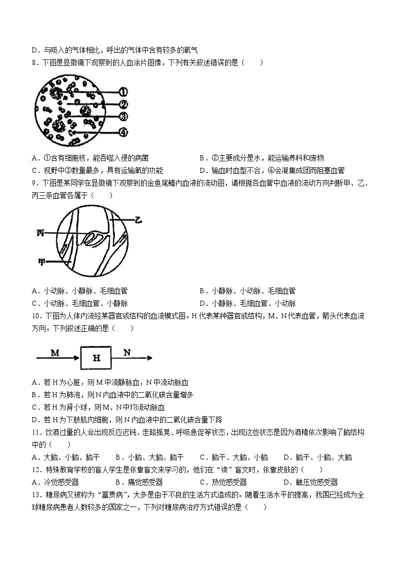 辽宁省辽阳市第一中学2024-2025学年八年级上学期开学生物试题(无答案)02