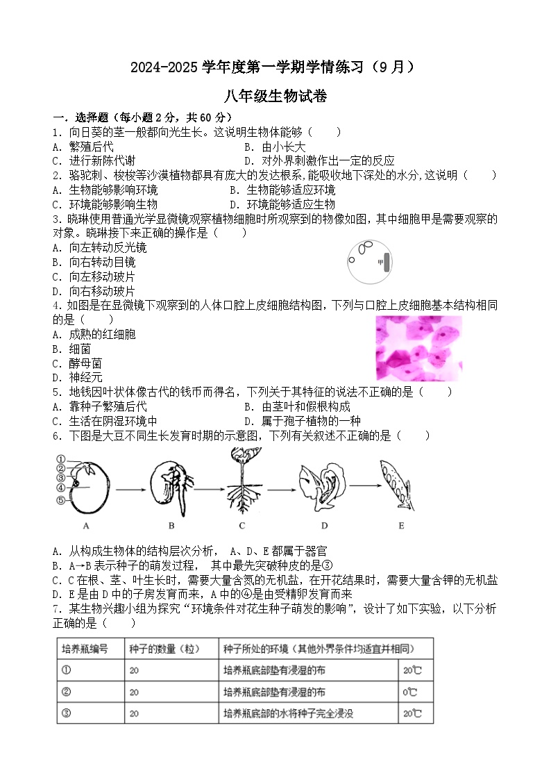 广东省茂名市高州市荷花第一中学2024-2025学年八年级上学期开学生物试题