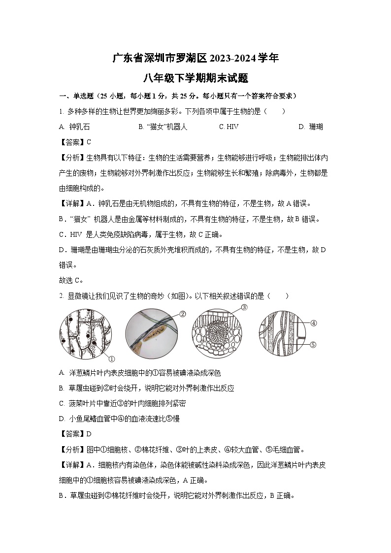 [生物][期末]广东省深圳市罗湖区2023-2024学年八年级下学期期末试题(解析版)