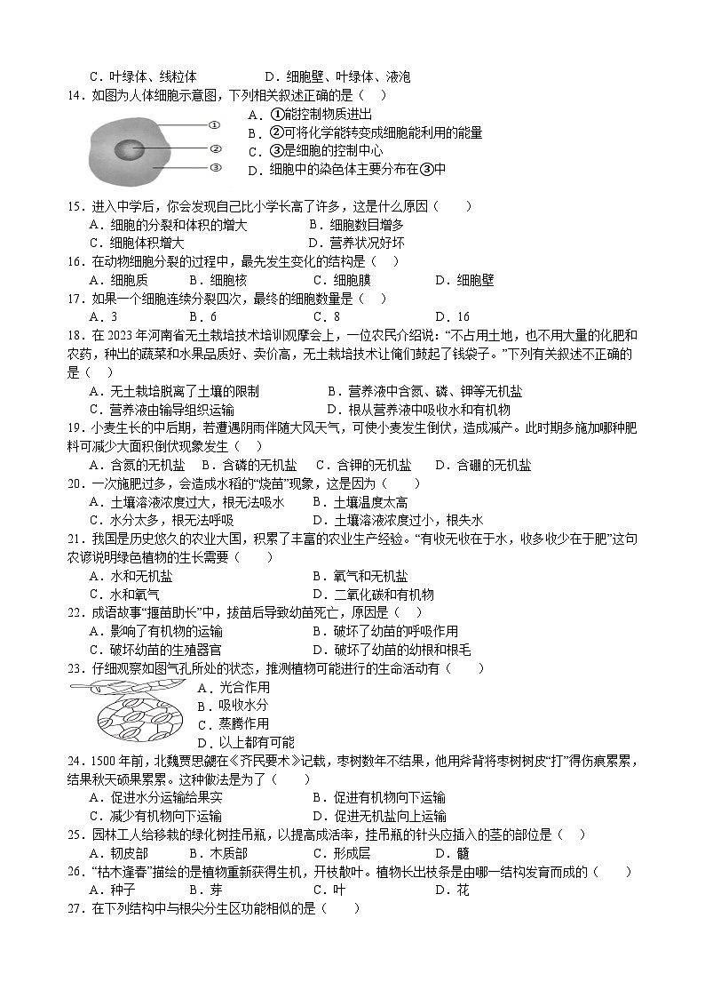 广东省惠州市第一中学教育集团2023-2024学年七年级上学期期末考试生物试题02