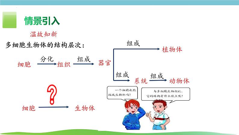人教版生物七年级上册1.3.4《单细胞生物》课件第1页