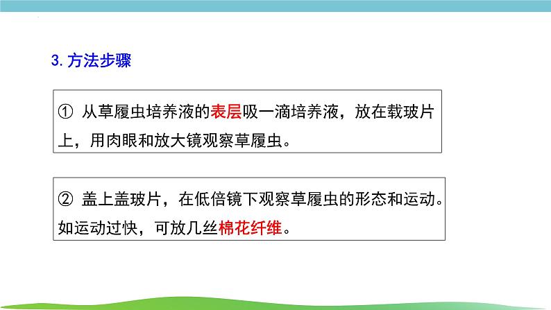 人教版生物七年级上册1.3.4《单细胞生物》课件第5页