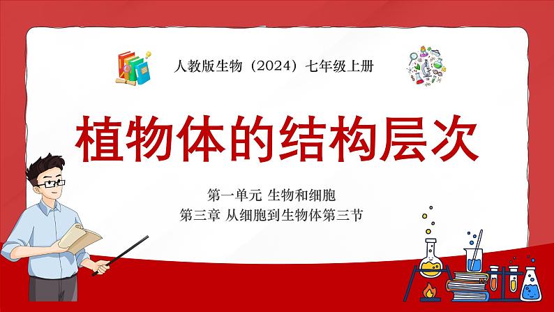 人教版生物(2024)七年级上册第一单元 生物和细胞 第三章 从细胞到生物体 第三节 植物体的结构层次 课件第1页