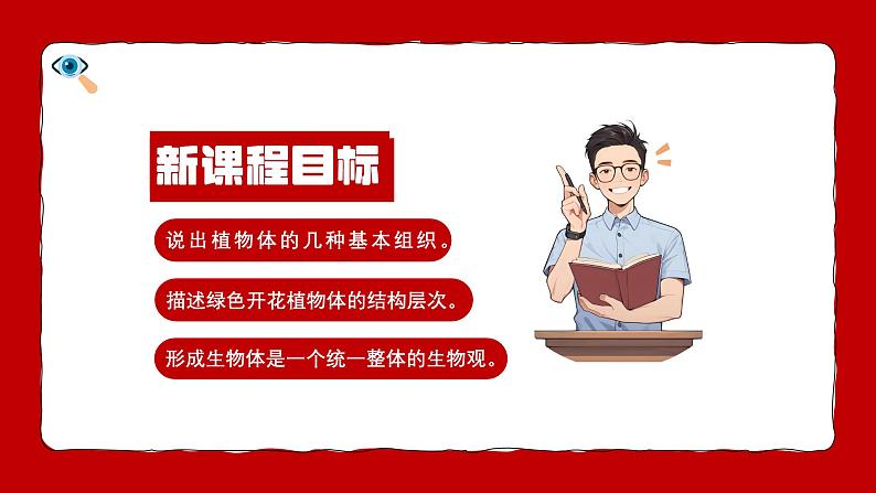 人教版生物(2024)七年级上册第一单元 生物和细胞 第三章 从细胞到生物体 第三节 植物体的结构层次 课件第4页
