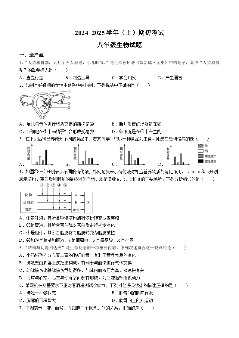 山东省聊城市冠县育才双语学校2024-2025学年八年级上学期开学考试生物试题(无答案)