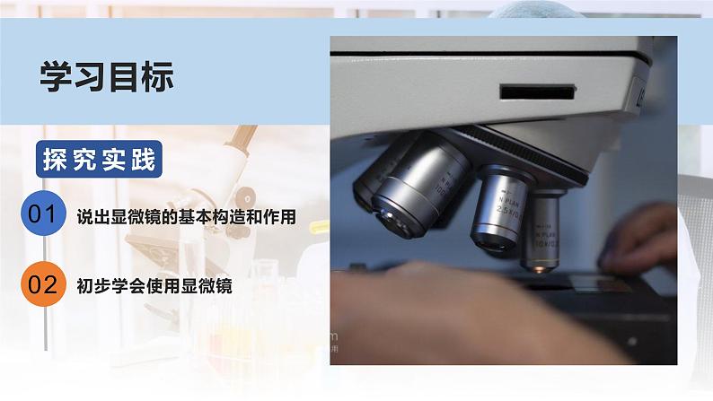 1.2.1学习使用显微镜课件人教版生物七年级上册2024新教材02