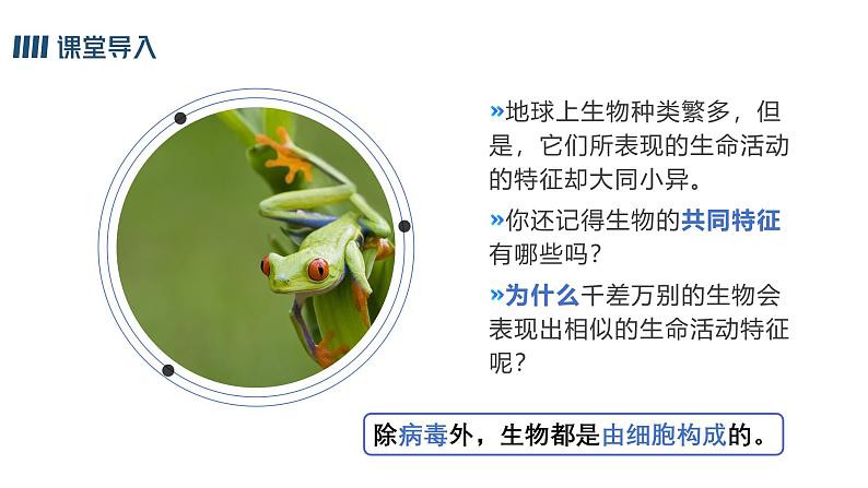 1.2.1学习使用显微镜课件人教版生物七年级上册2024新教材03