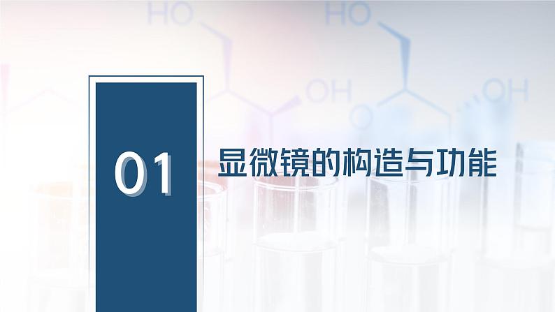 1.2.1学习使用显微镜课件人教版生物七年级上册2024新教材07