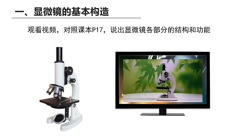 1.2.1学习使用显微镜课件人教版生物七年级上册2024新教材08