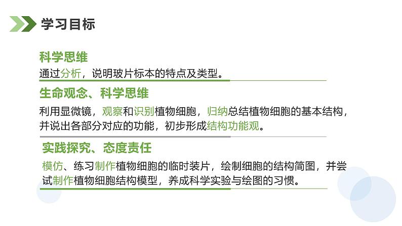 1.2.2植物细胞课件人教版生物七年级上册2024新教材02