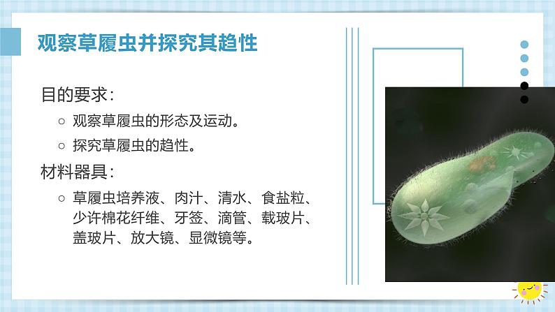 1.3.4单细胞生物课件人教版生物七年级上册2024新教材第7页