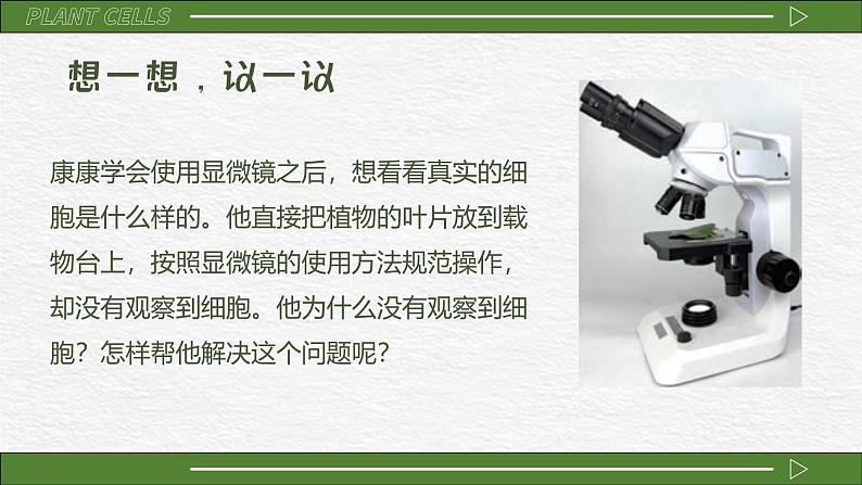 人教版(2024)生物七年级上册1.2.2《植物细胞》课件02