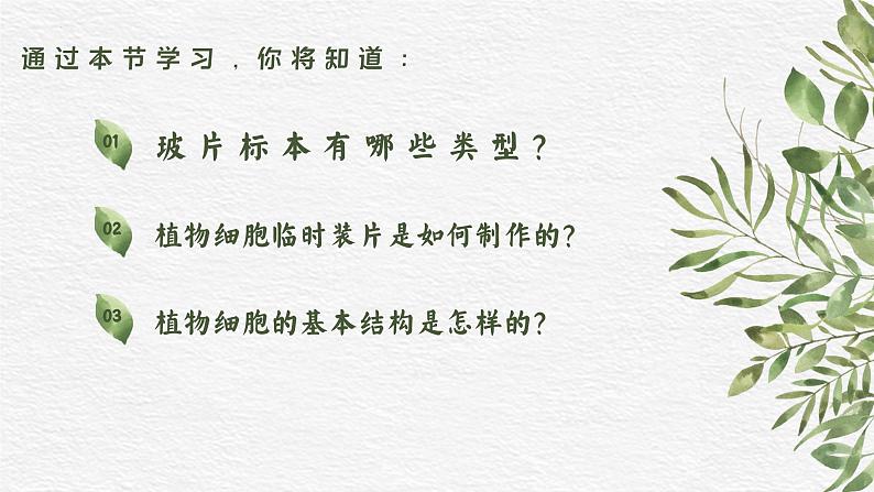 人教版(2024)生物七年级上册1.2.2《植物细胞》课件03