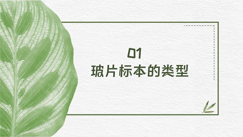 人教版(2024)生物七年级上册1.2.2《植物细胞》课件04