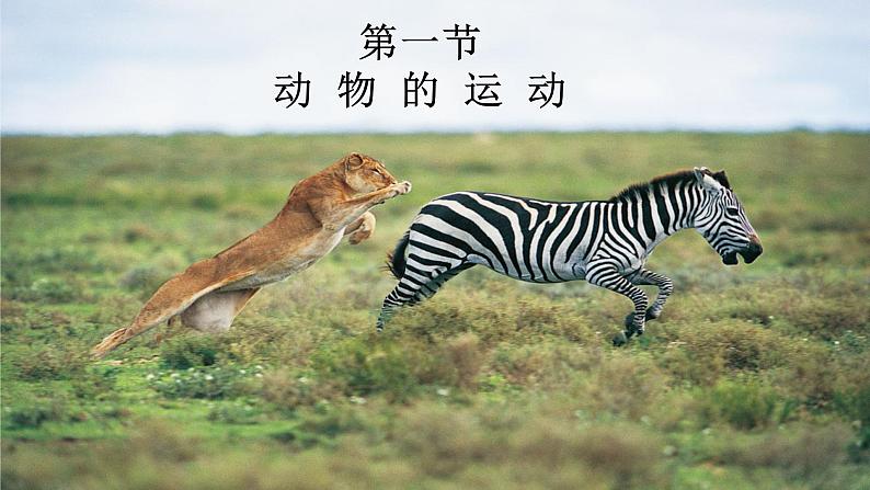人教版生物八年级上册2.1《动物的运动》课件第1页