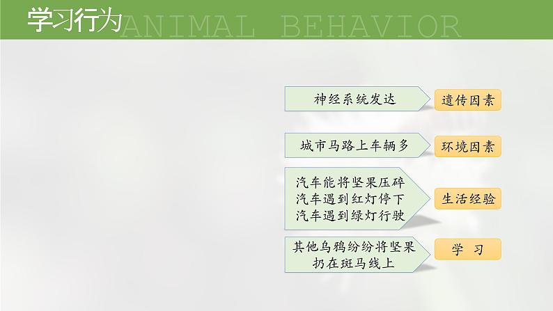 人教版生物八年级上册2.2《先天性行为和学习行为》课件第7页