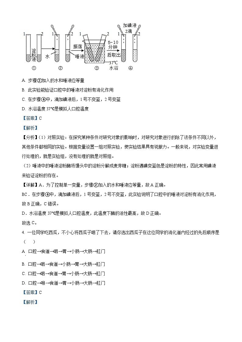 江西省宜春市丰城市第九中学2024-2025学年八年级上学期开学考试生物试题(解析版)第2页