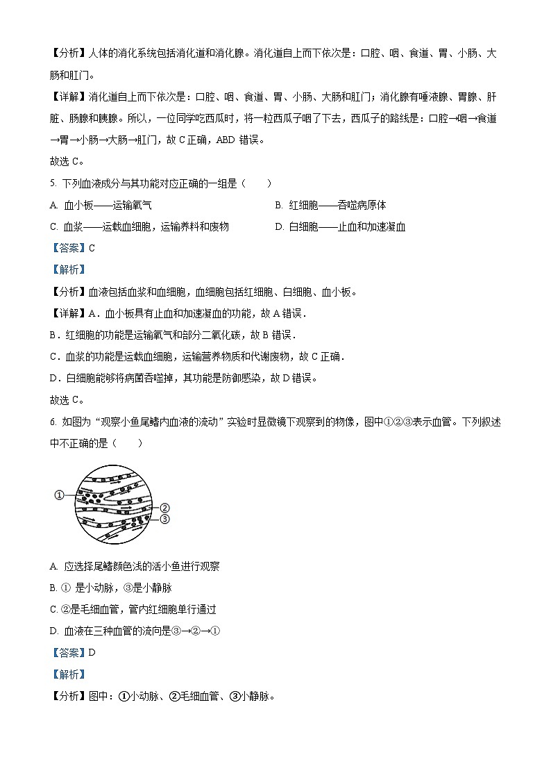 江西省宜春市丰城市第九中学2024-2025学年八年级上学期开学考试生物试题(解析版)第3页