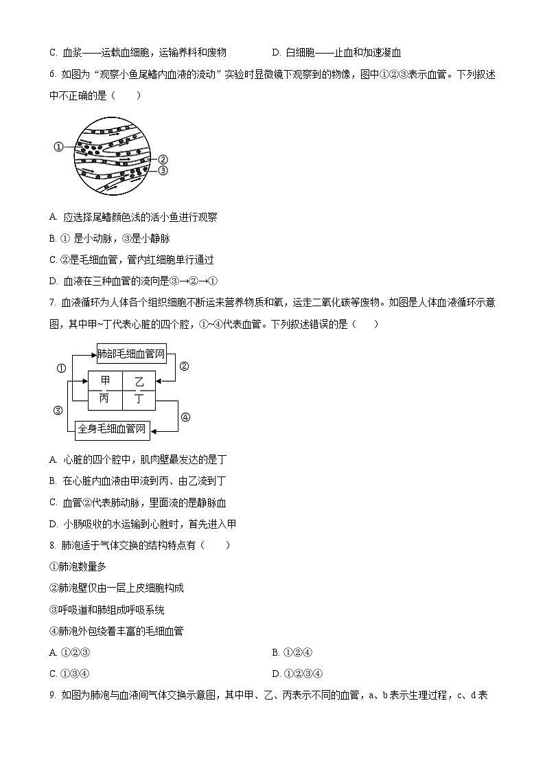 江西省宜春市丰城市第九中学2024-2025学年八年级上学期开学考试生物试题(原卷版)第2页